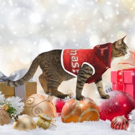 - Chritmas Pet Hoodie - Red Hoodie for Cat/Dog in Chrismas season - NoowAI Shop